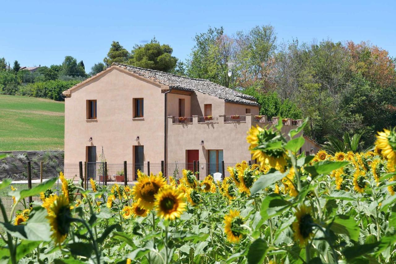 Casa Montefiore 13 Iris Lt Nella Tranquilla Campagna Marchigiana Ancona Buitenkant foto